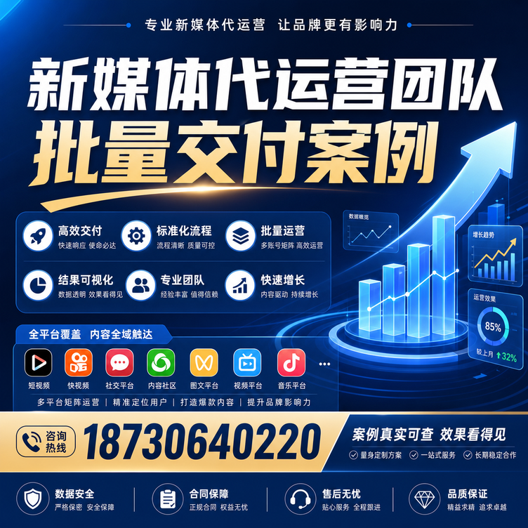 石嘴山代运营公司多客户账号批量高效交付案例